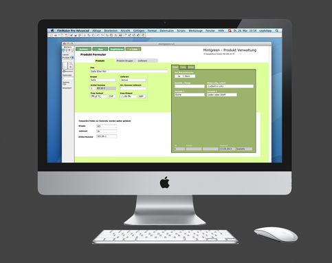 Mintgreen - Produkt- und Kundendatenbank